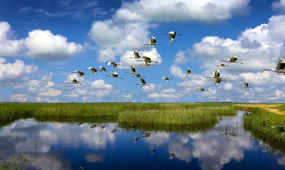 湿地可以开发什么旅游项目,黑龙江旅游必去十大湿地排名