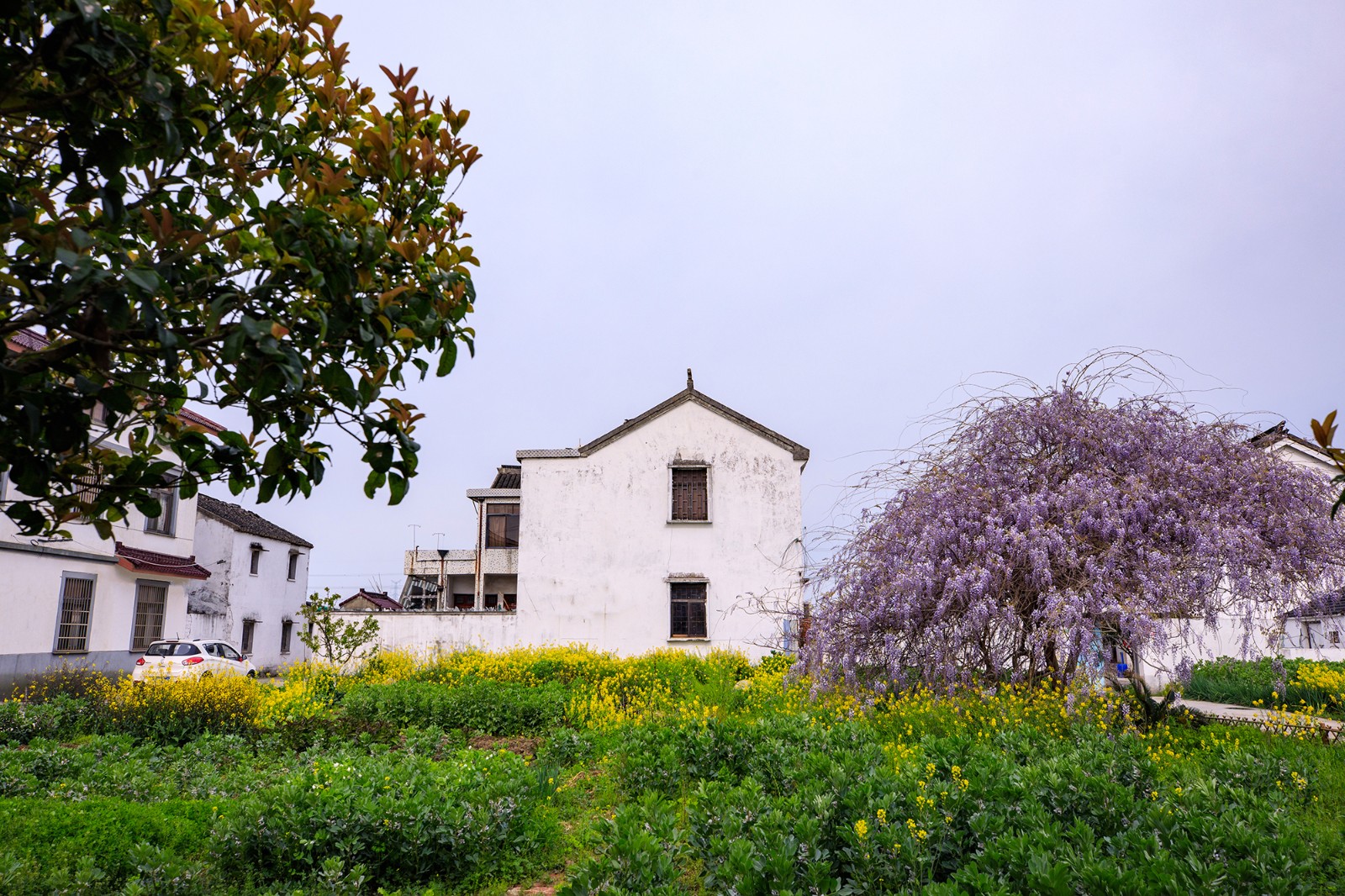 沙家浜景区诗句,沙家浜芦荡在什么地方