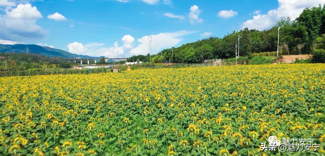 安宁2022经济发展,安宁区2022经济发展目标