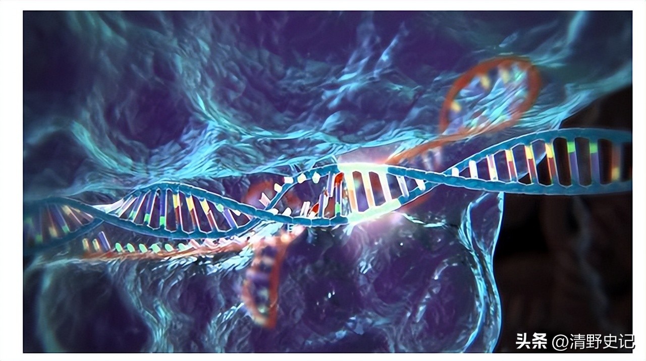 菲律宾4艘船又闯仁爱礁现场直播,菲律宾舰船从仁爱礁上撤走了吗