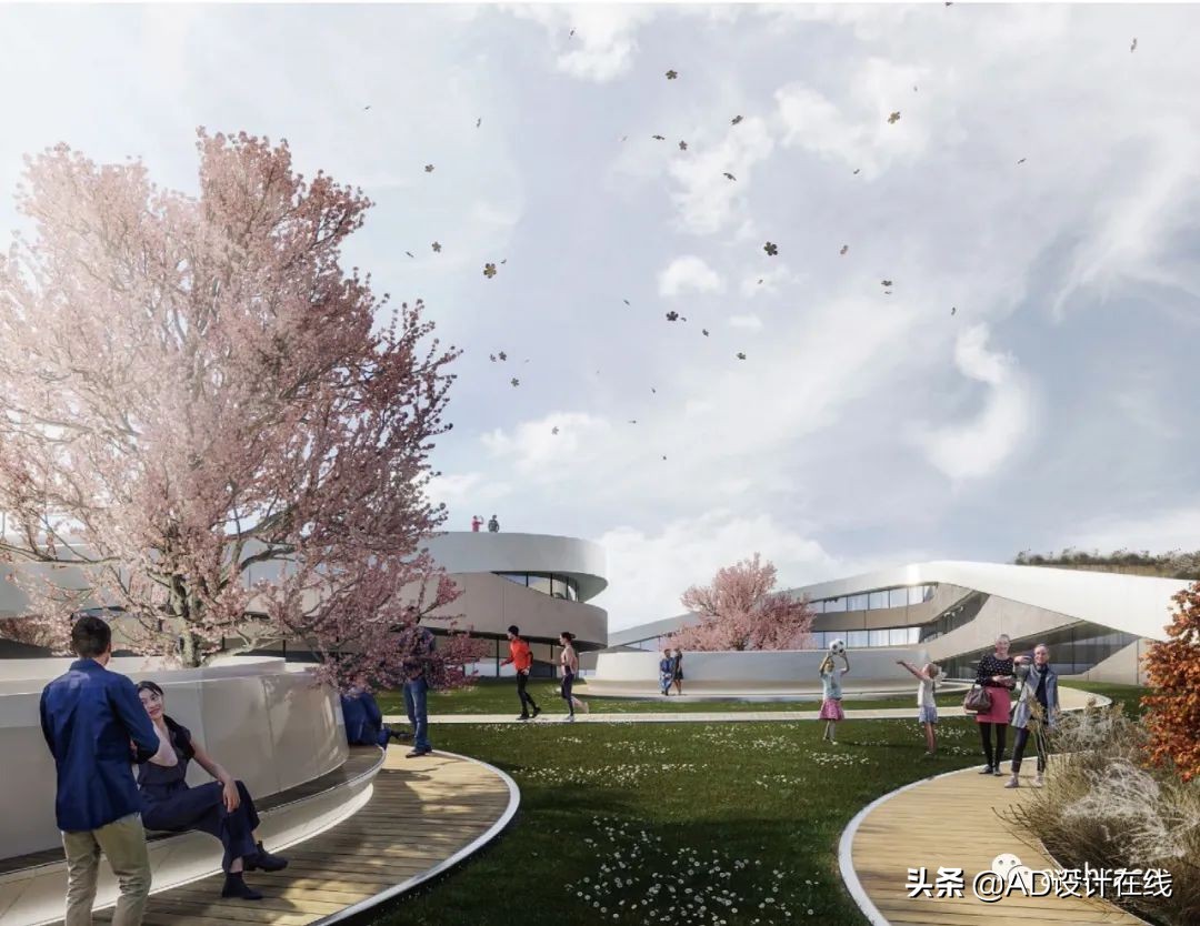 弗兰基球场改建,佛罗伦萨弗兰基球场