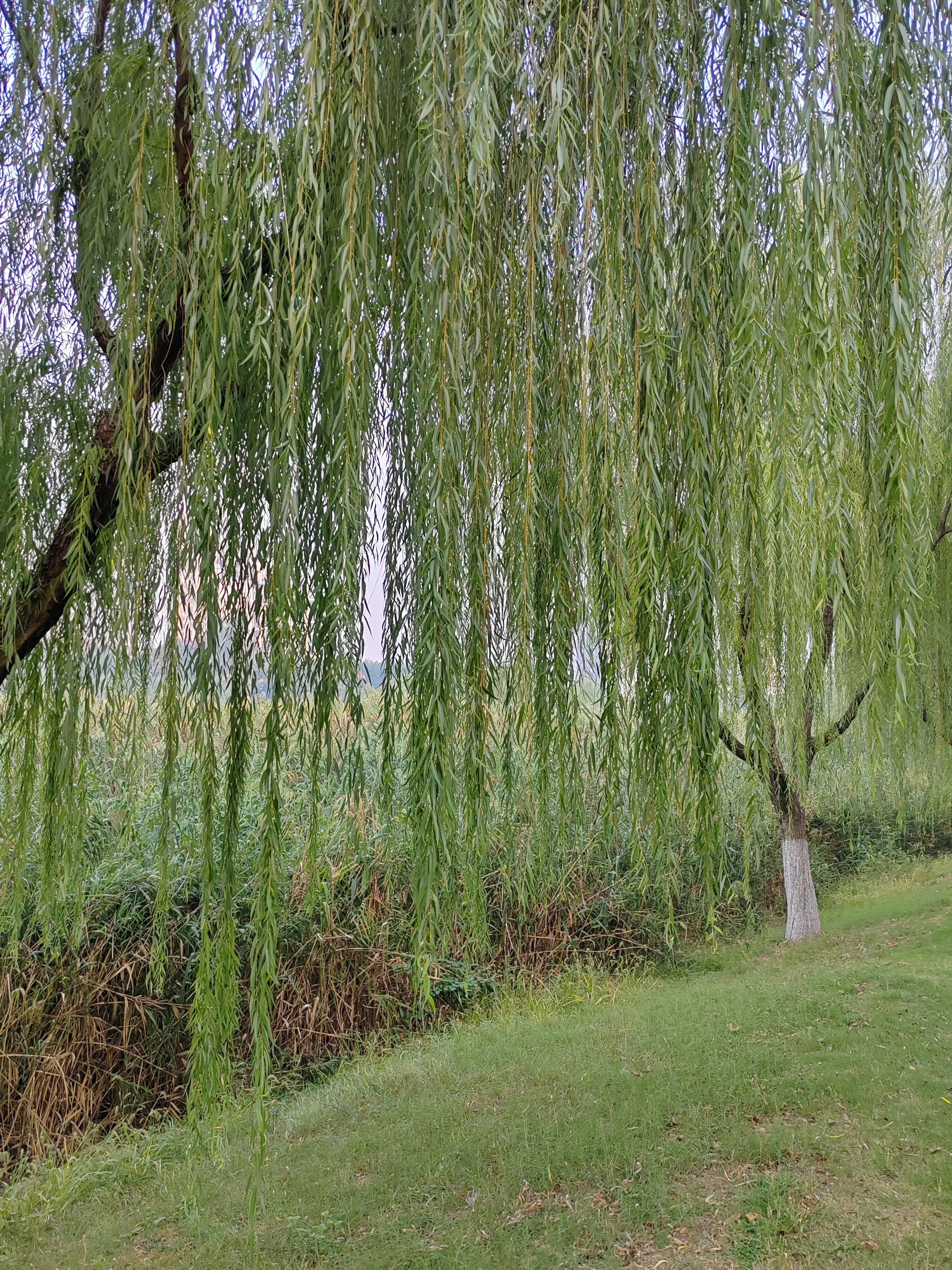 中国历史上第一部军事理论,举世公认的军事理论奠基人