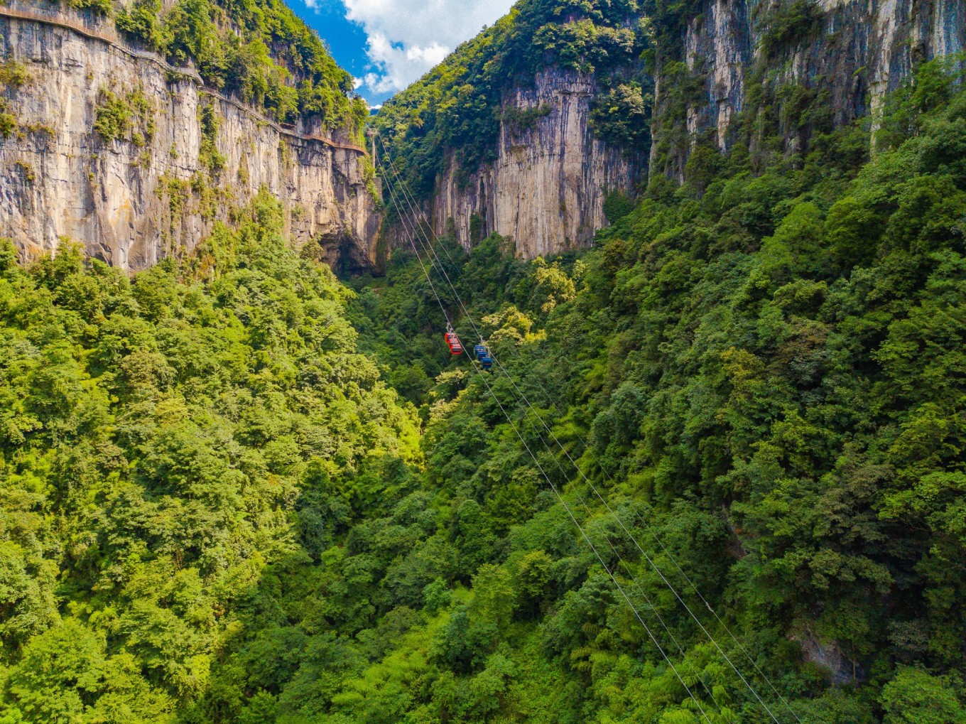 毕节油杉河景区,贵州夏季的避暑景点
