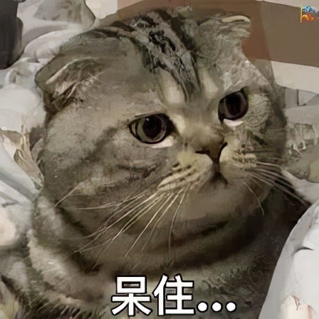 黑莓从开花到成熟时间,黑莓手机巅峰时刻