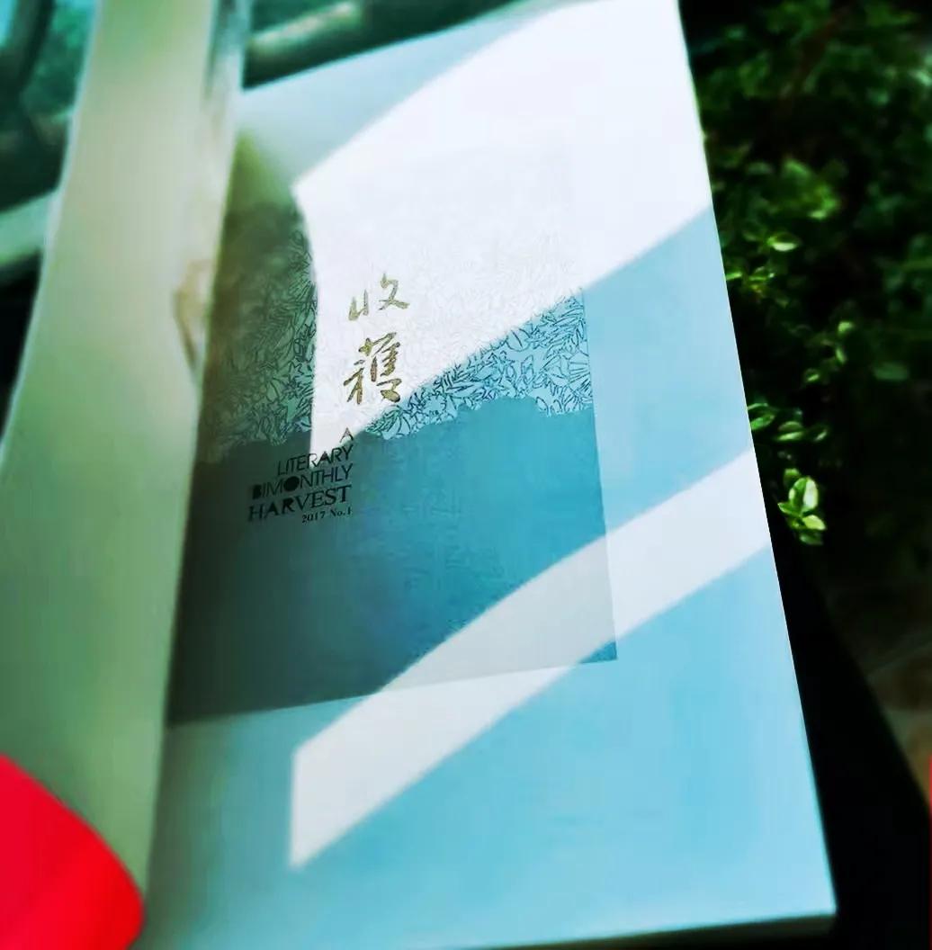 旧杂志、书报亭、肌鞘炎及时代特征