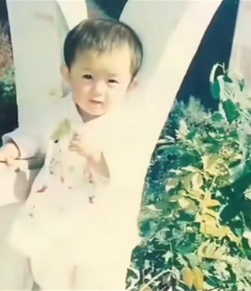 赵丽颖怎么上位当女主,赵丽颖从跑龙套到女主的详细过程