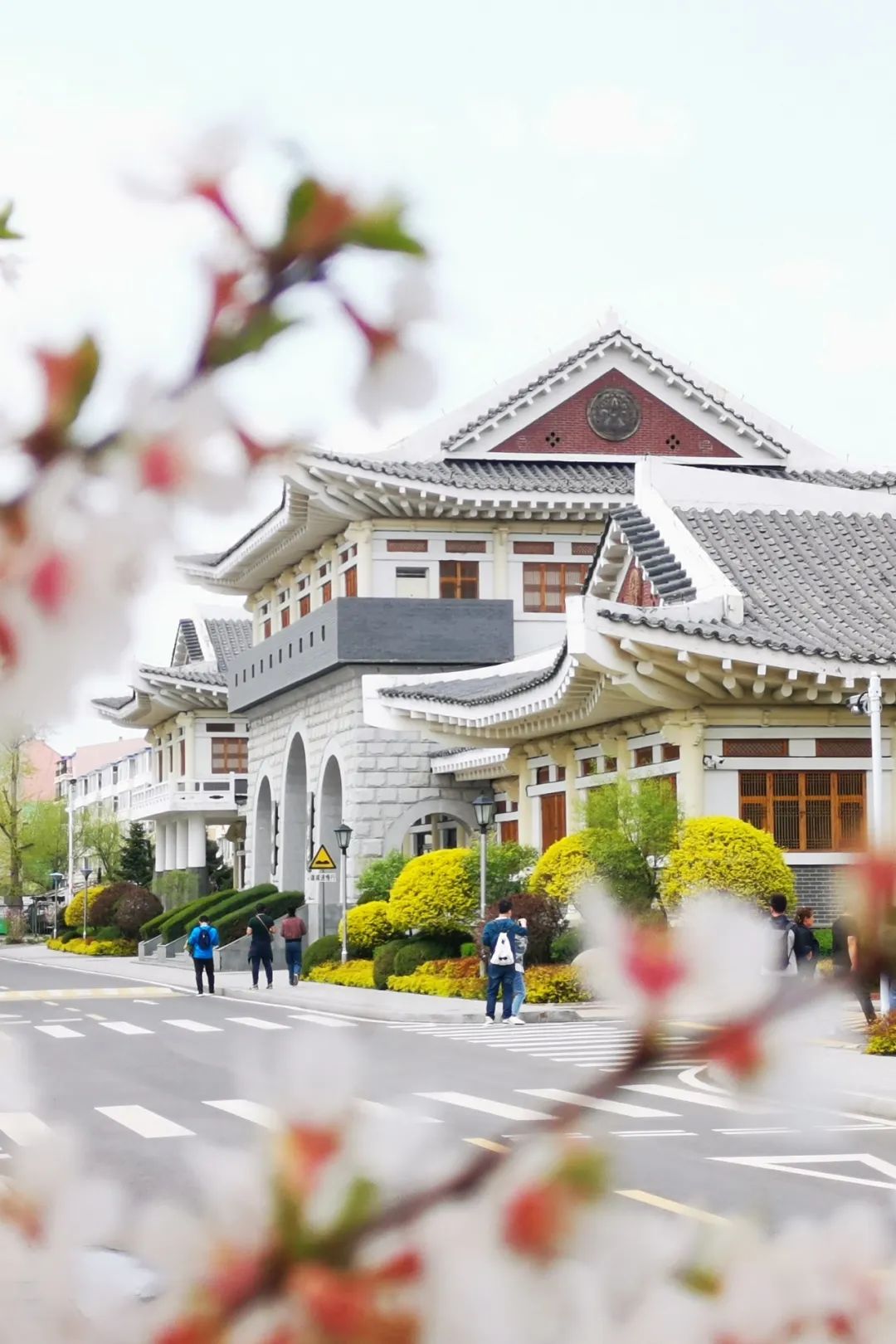 东北延边韩国人多吗,延边说话和韩国一样吗