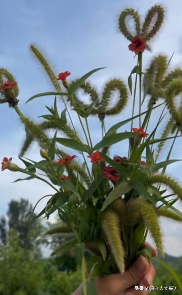 我，单位全是女生，就我一个男的，擅长唱歌跳舞，领导把我当个宝