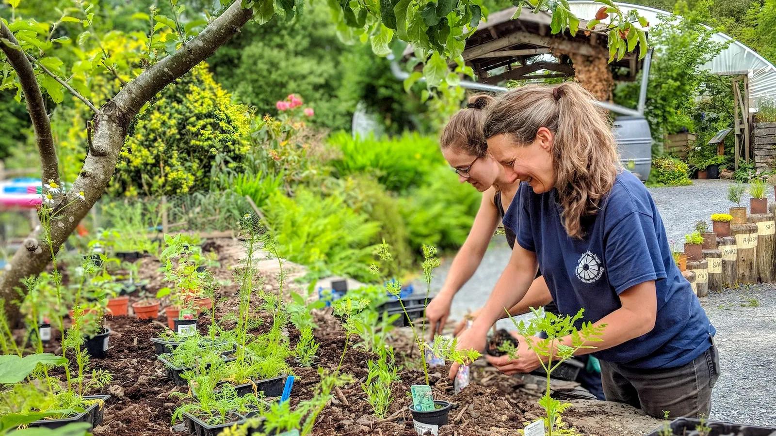 英国威尔士小镇,威尔士小镇