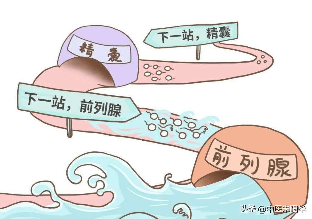 尿频尿急尿不尽中医好还是西医好,尿频尿急尿不尽怎么治最有效3岁