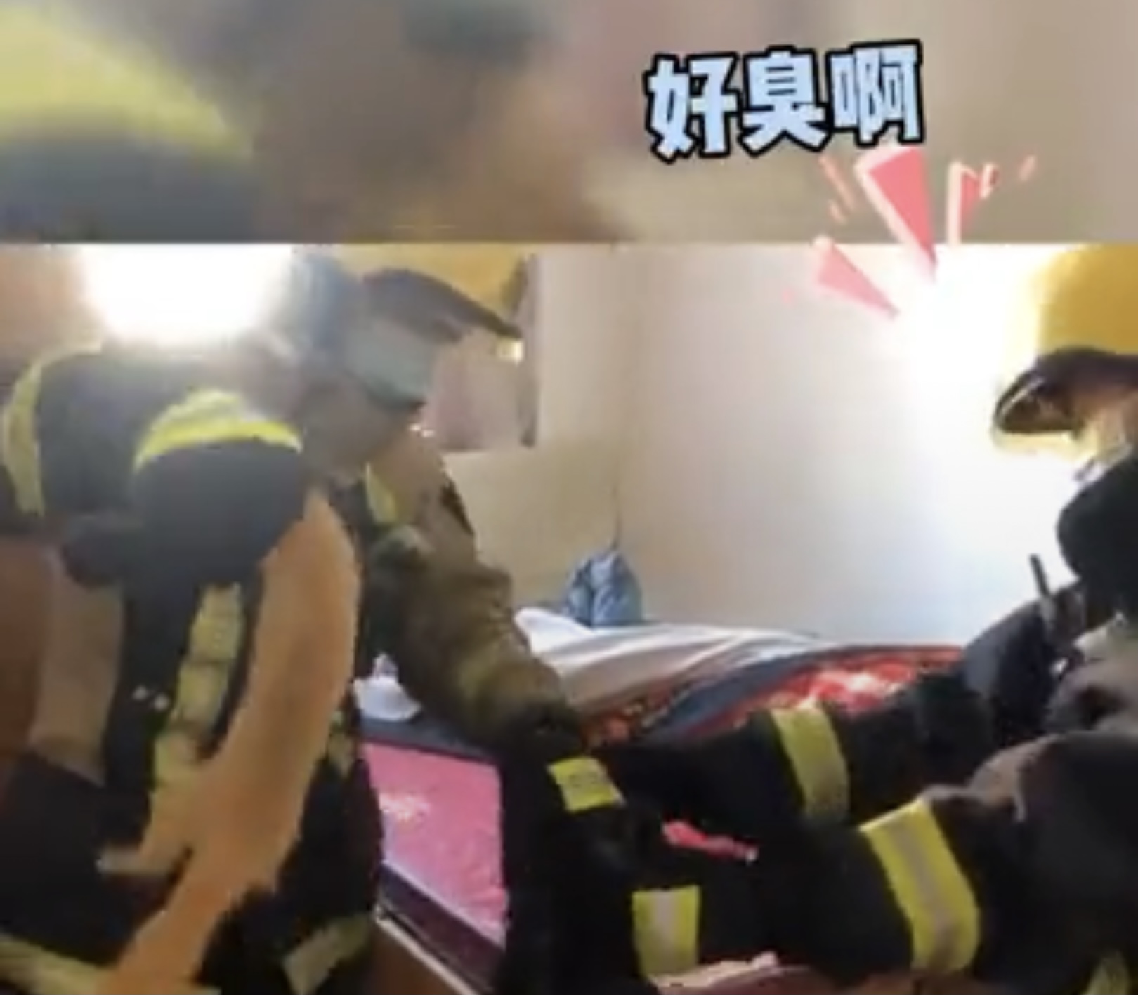 消防员上门抓黄鼠狼被臭晕,黄鼠狼闯民宅被消防驱逐