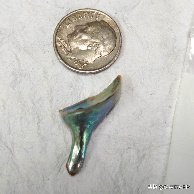 烧烤鲍鱼成品,鲍鱼里面也有珍珠