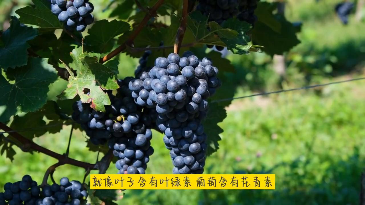 不惑大叔的作品,不惑大叔的励志视频