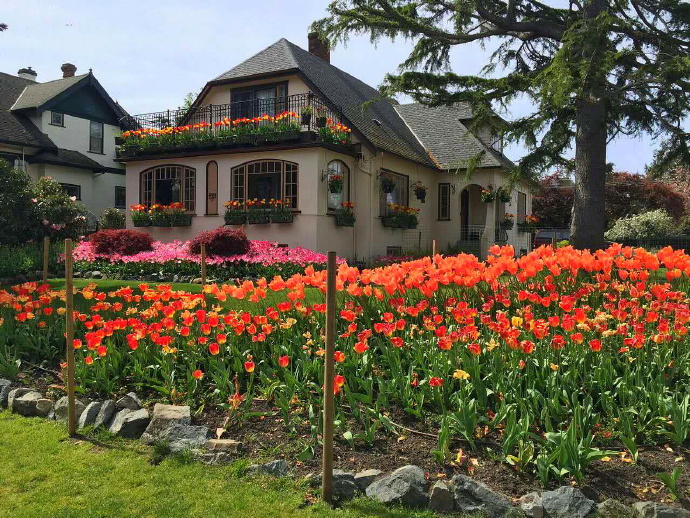 加拿大温哥华岛游记,温哥华维多利亚岛攻略