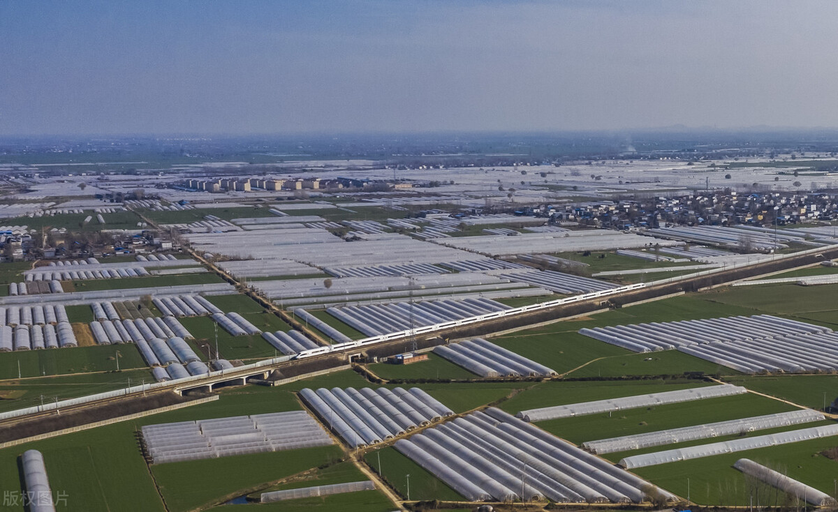 云南2024年1月3日蔬菜价格一览表,2024年1月6日云南蔬菜价格一览表