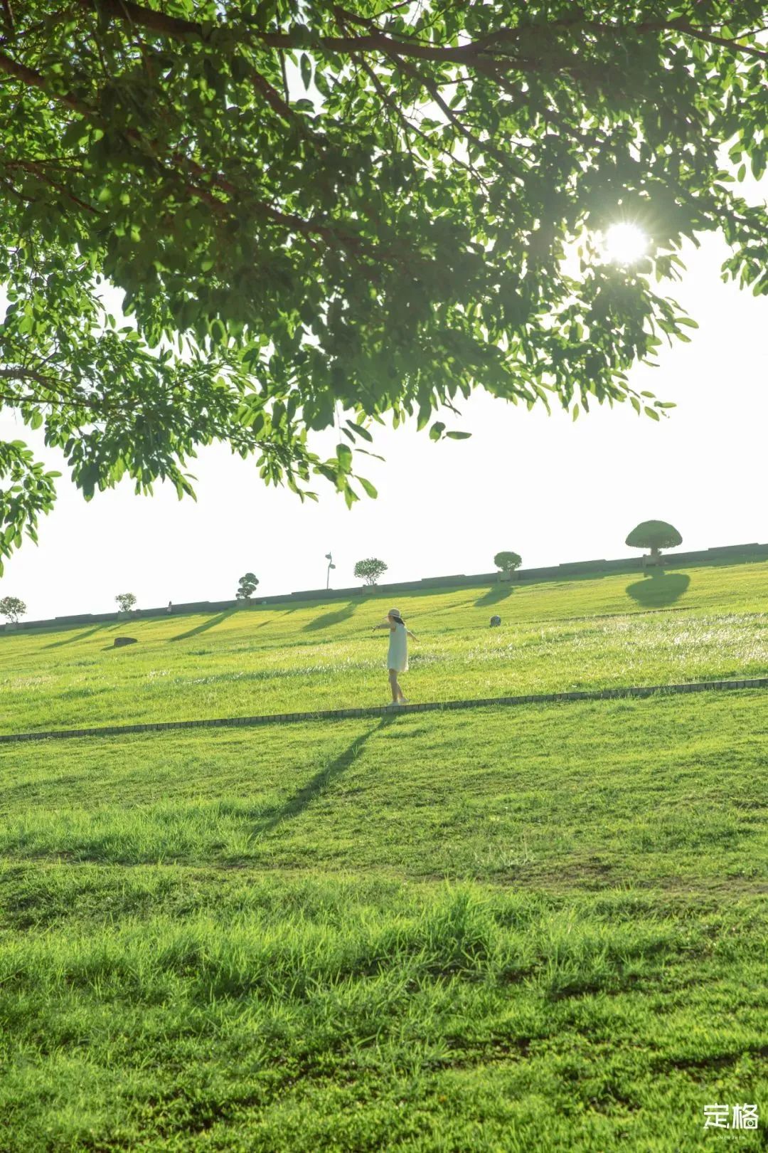 深圳10个小众打卡地免费游玩,深圳十大免费打卡地