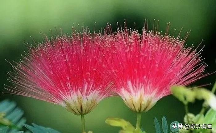 及时正向反馈,及时反馈机制