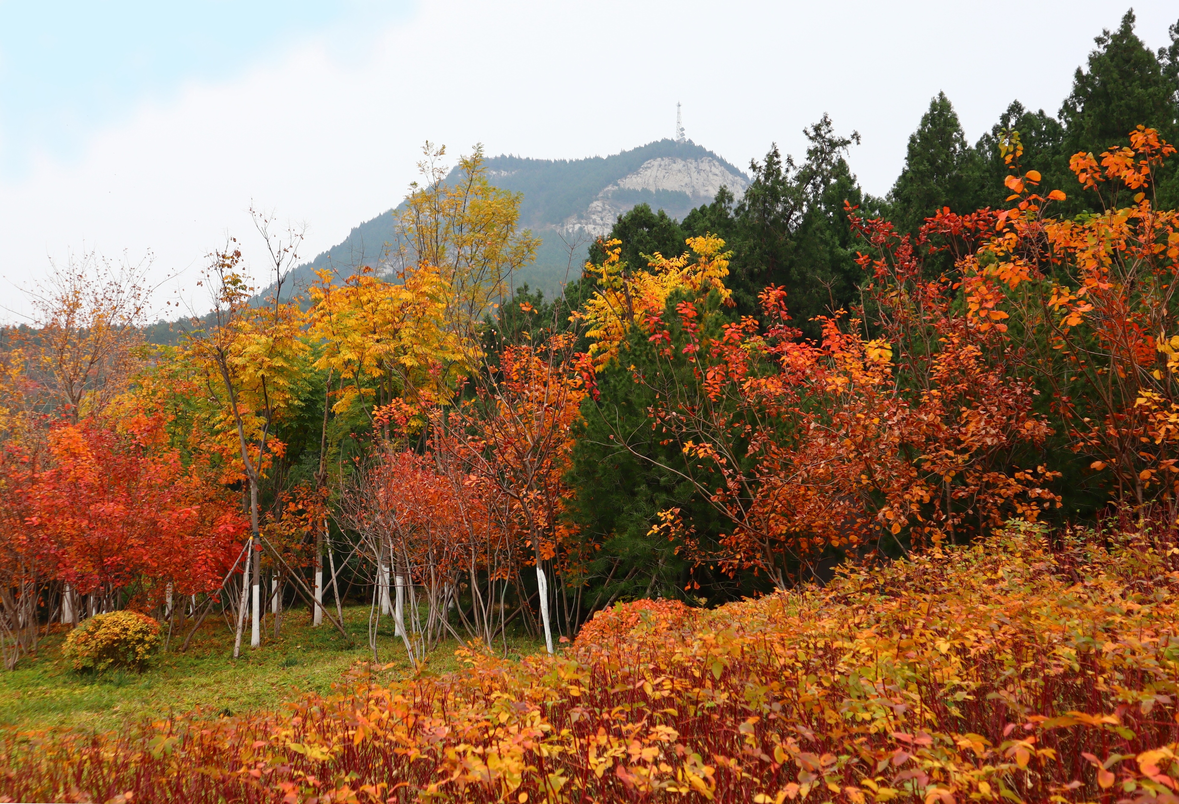 济南必打卡之地金秋时节,济南冬季打卡旅游胜地