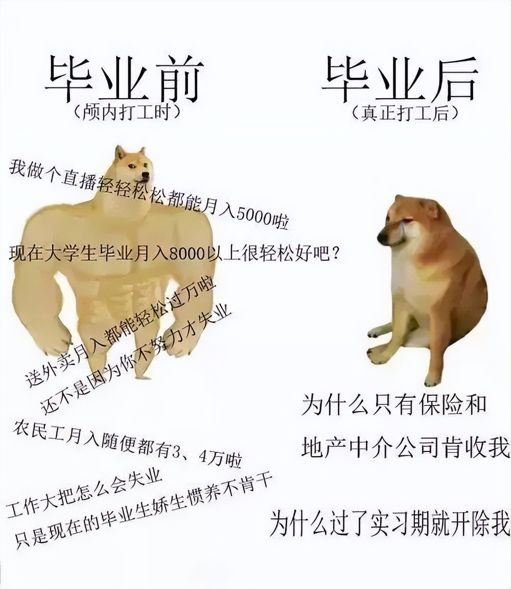 数据分析的岗位一定要有经验吗,数据分析简历项目经验怎么写