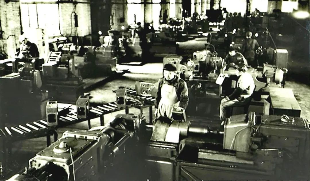 莱动的高光时刻