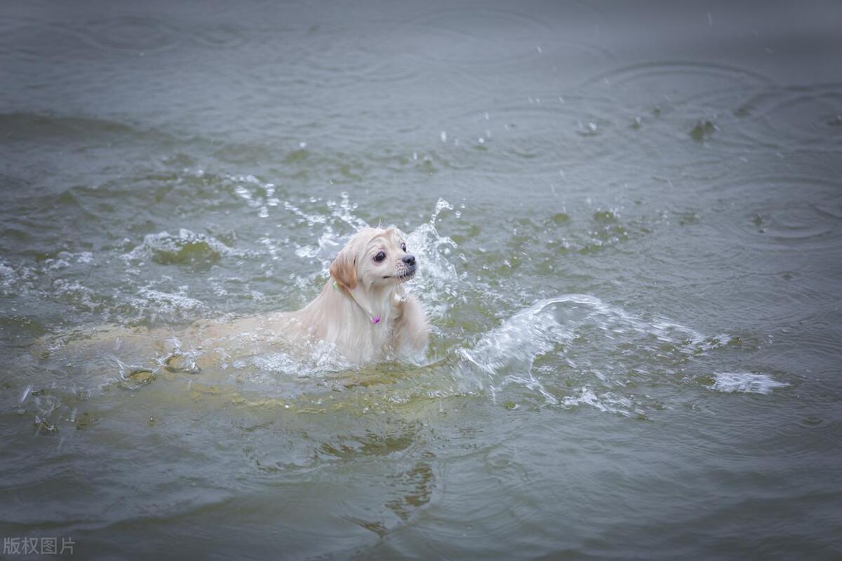 十大黑帮经典电影排行榜,韩国黑帮电影十大巅峰之作