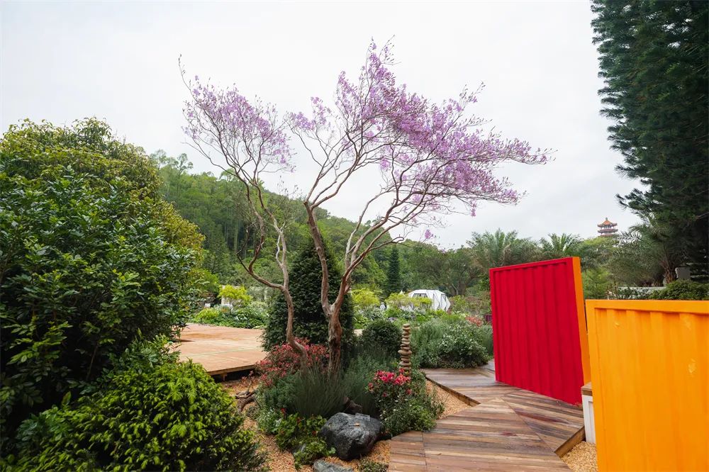 切尔西花展最佳花园,切尔西花展金奖设计