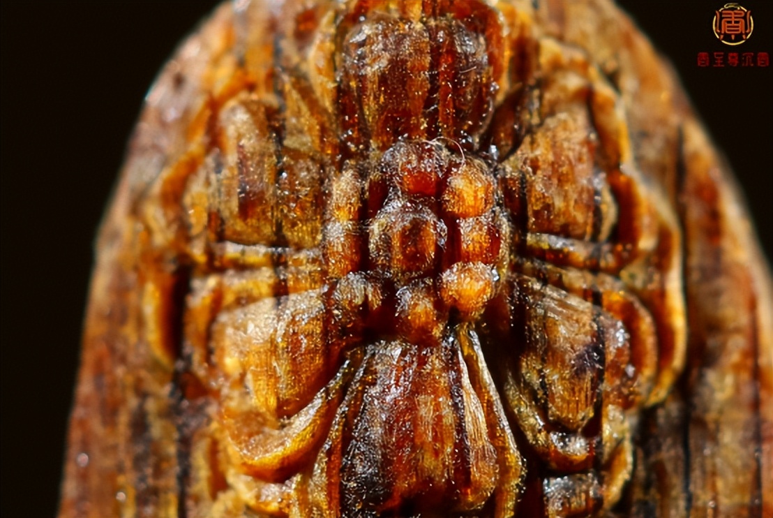 每个人脸上都有一个永不休息的“劳模”，值得我们用沉香滋养