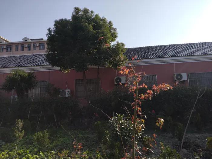 画与景,幼儿长卷画景