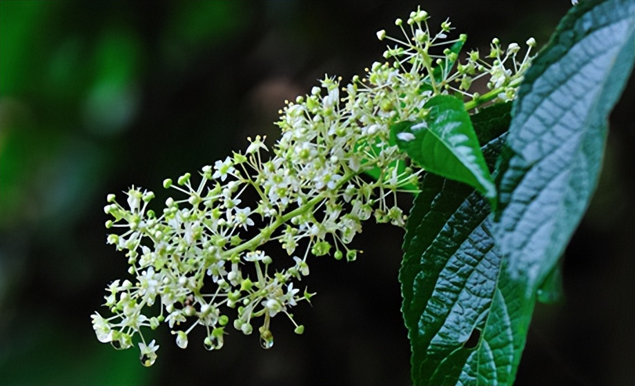 以前上环的女性30多年后现状如何,我国第一批上环的女性现在怎么样