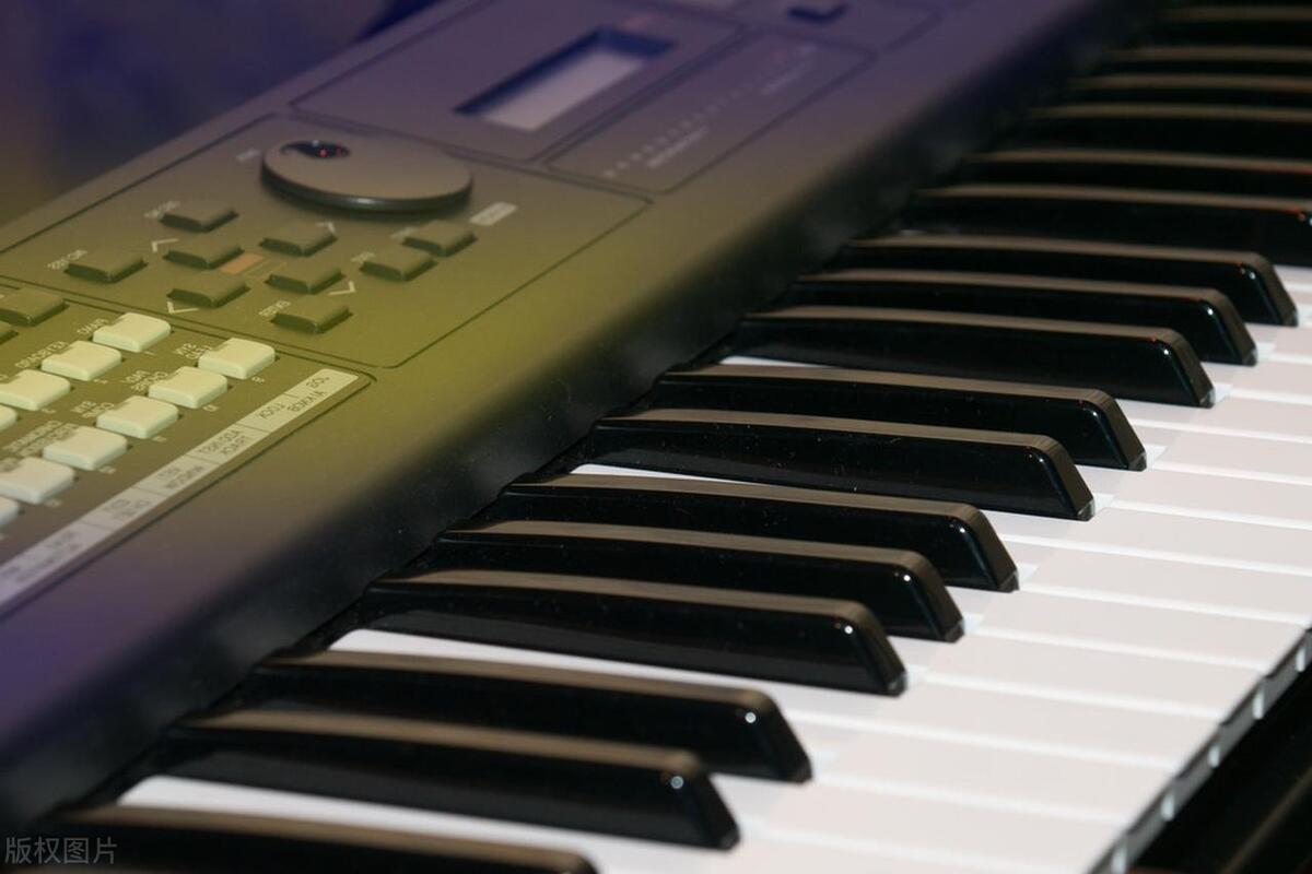 预算2000以内的电钢琴有什么推荐,电钢琴两千预算性价比最高