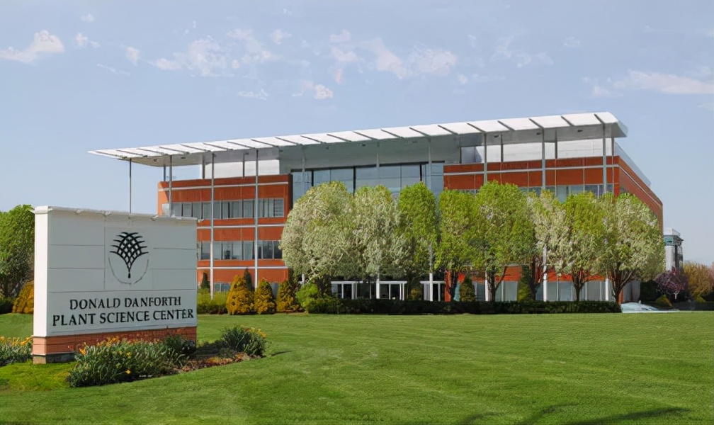 知耕快报｜作物基因组设计育种工具箱；Calyxt植物合成生物学方案