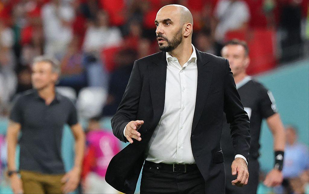 雄狮怒吼片段,雄狮吼叫穿透力