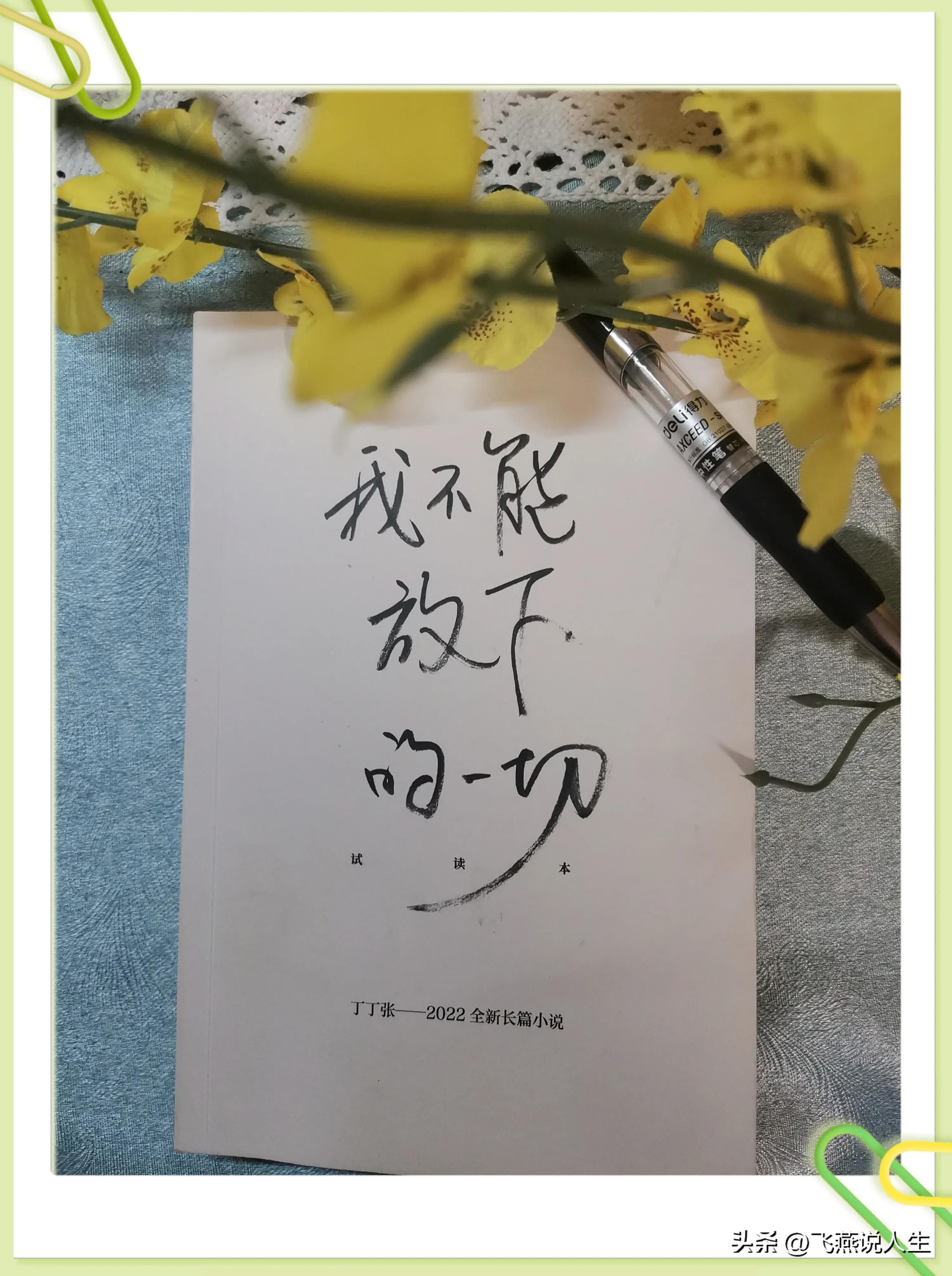 丁丁张玮,丁丁张