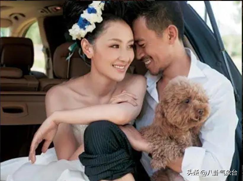 孙宁王学兵离婚原因,孙宁王学兵离婚