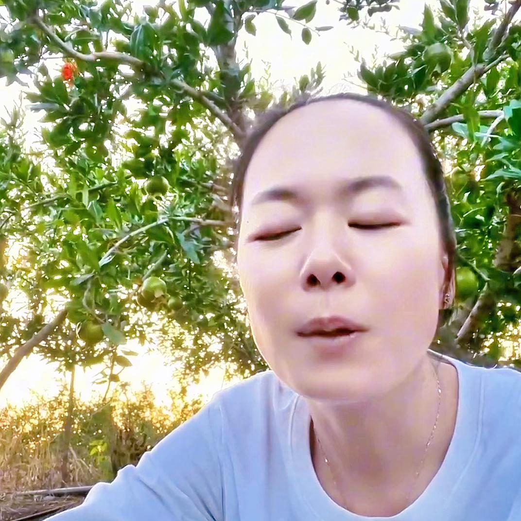 都在说返乡创业！又有多少人了解创业的风险和艰辛#灵茜水...