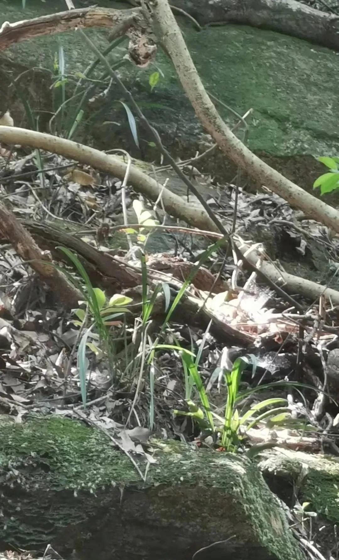 爱兰者说,交易看人,诚者长存