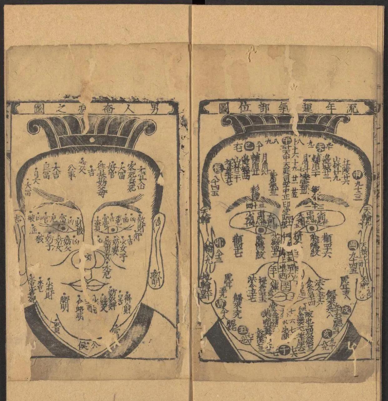 鎰熺煡鍘嗗彶鍝佸懗鏂囧寲缁忓吀,楹荤鐩告湳