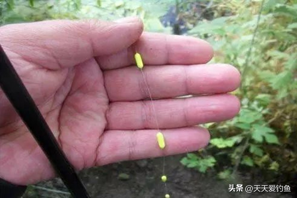 水库夏季白条鱼怎么钓,夏季野钓大白条技巧