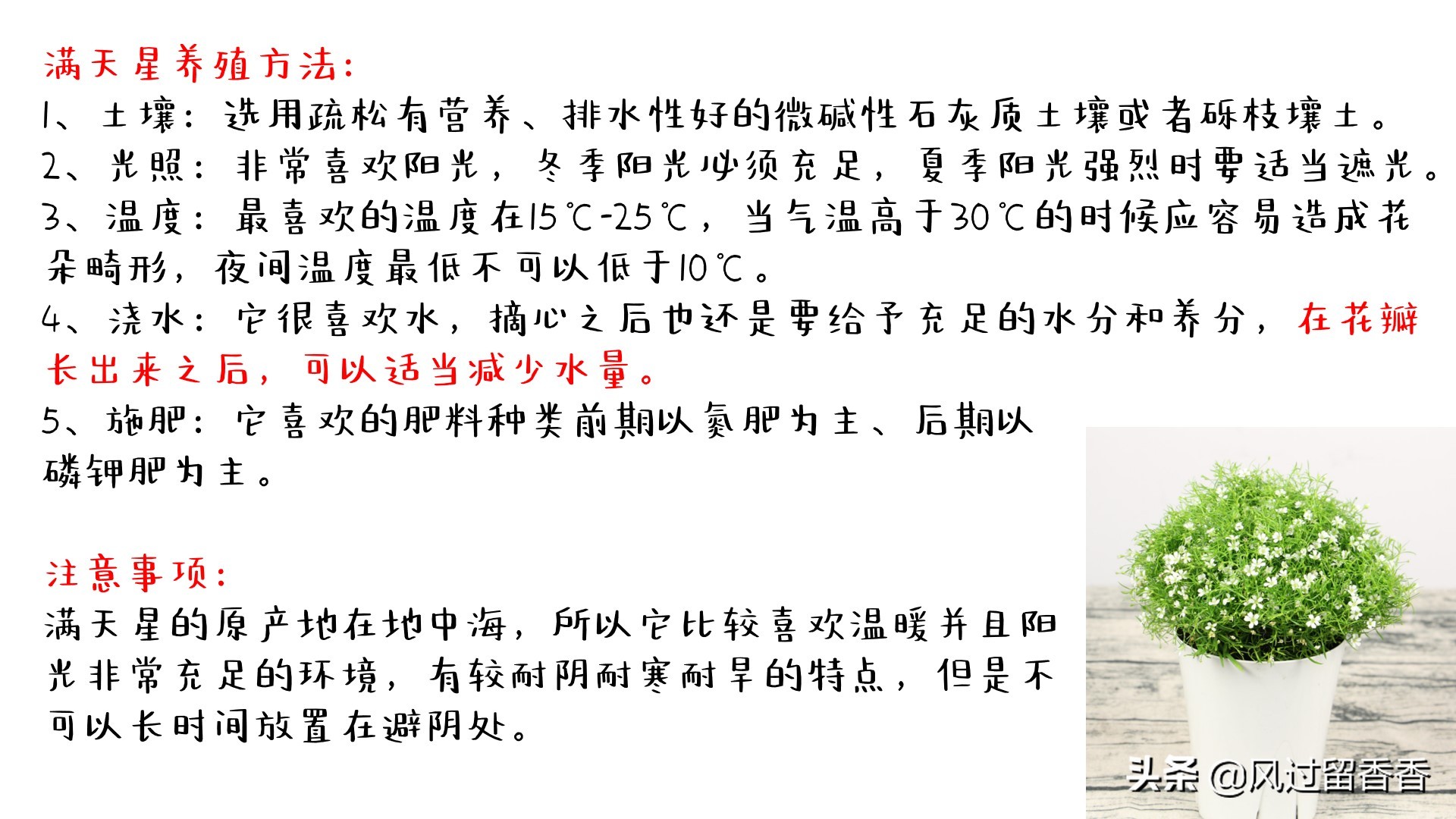 阳台养花教程推荐,阳台养花教程新手入门