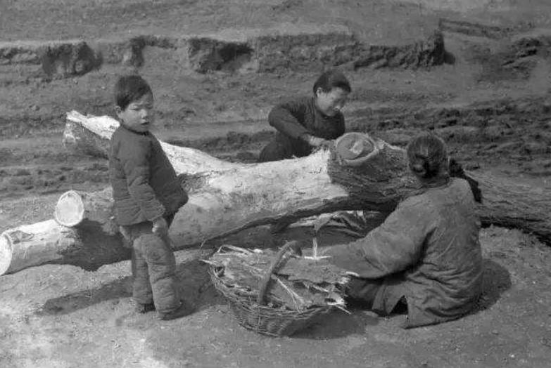 崔琦12岁走出河南农村，到美国后获诺贝尔奖，晚年：后悔离开家乡