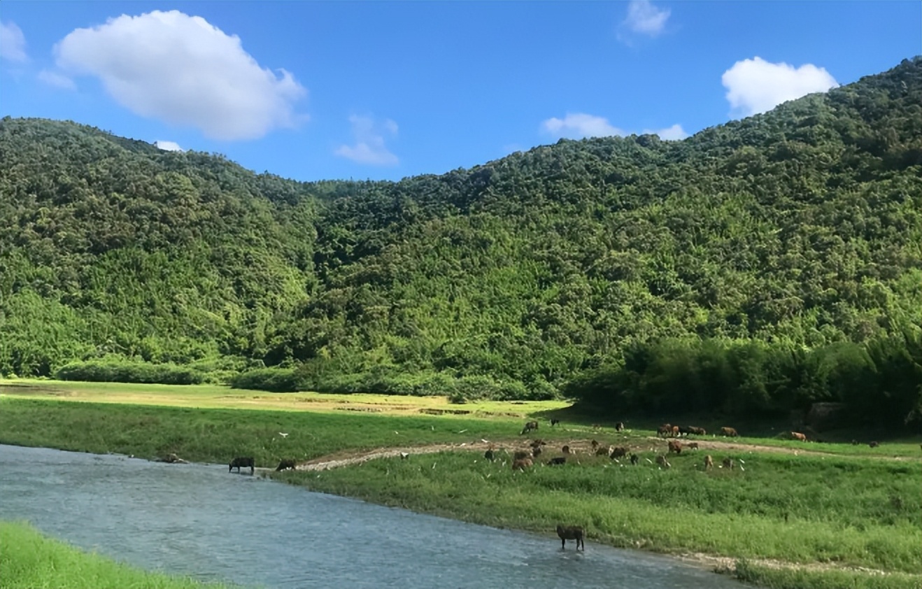 广州大草原旅游攻略,五一去哪撒欢