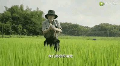 43集连续剧杨烁,杨烁40集电视剧