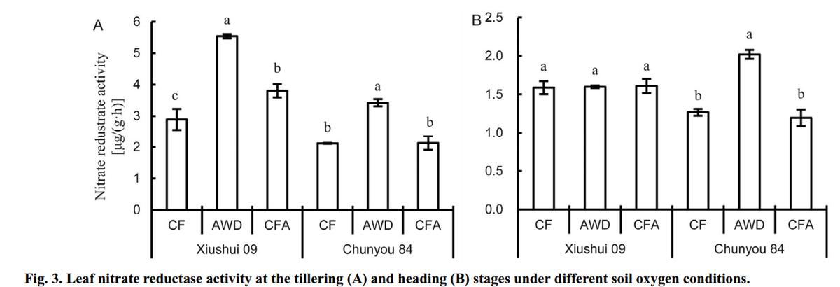 促进水稻氮素吸收利用的途径,促进水稻根系生长的措施
