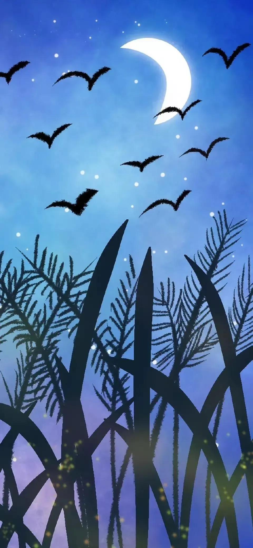 歼20高清壁纸4k全屏无水印,精选壁纸高清无水印高级感