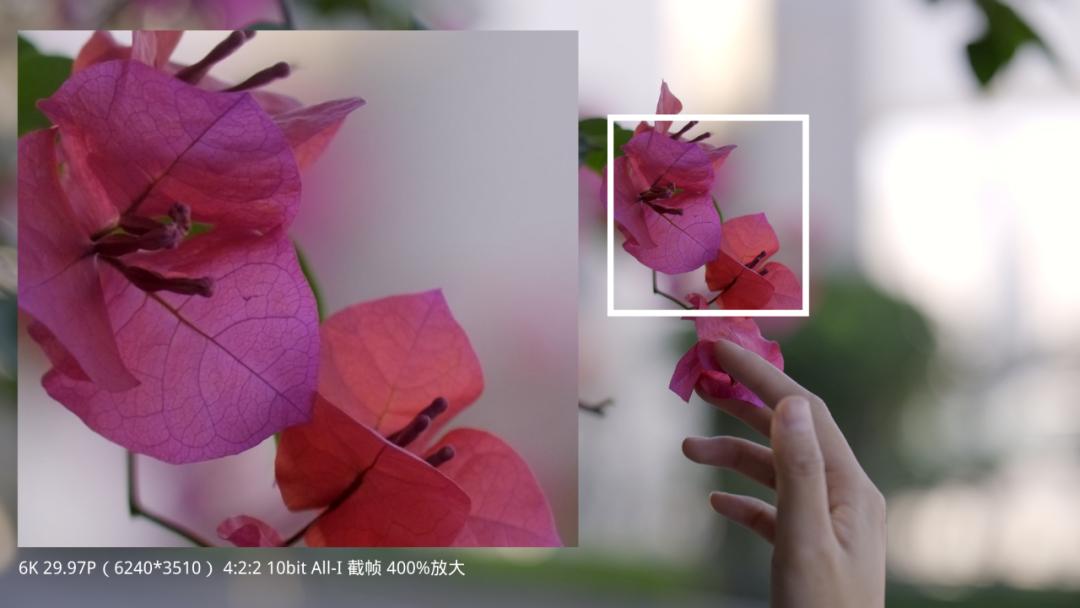 富士x-t5保值么,富士x-t5等四款相机迎来固件升级