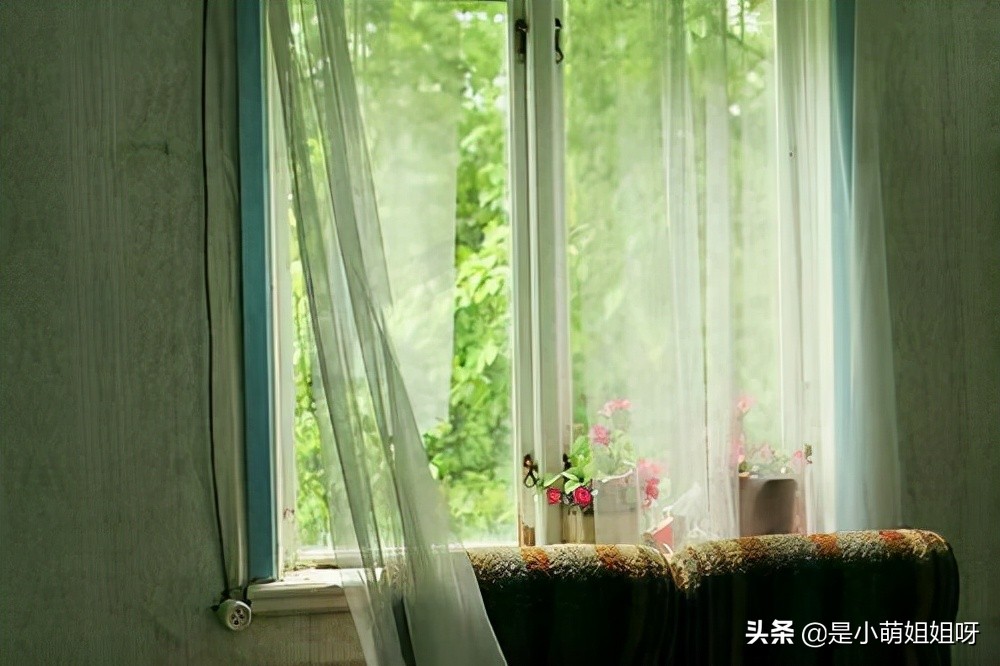 低门槛的互联网创业可以做吗,互联网创业才是现在最轻松的行业