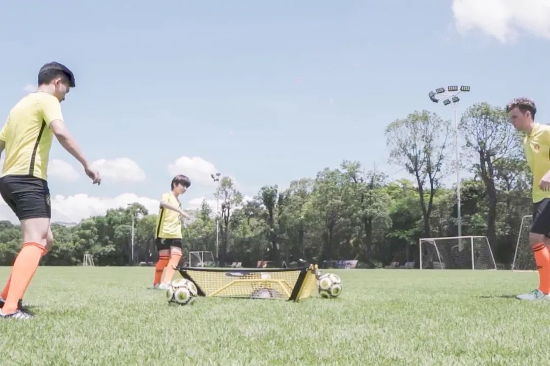 派迪茵体育博览会,派迪茵体育有限公司