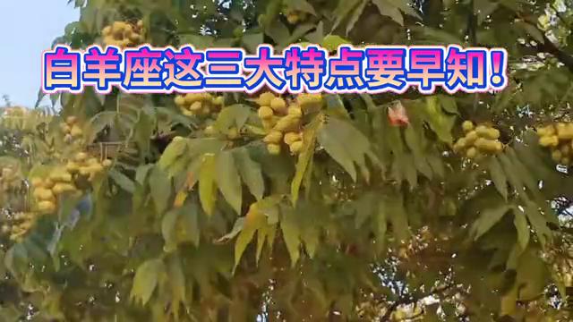 白羊座性格优点和缺点,白羊座的性格优点