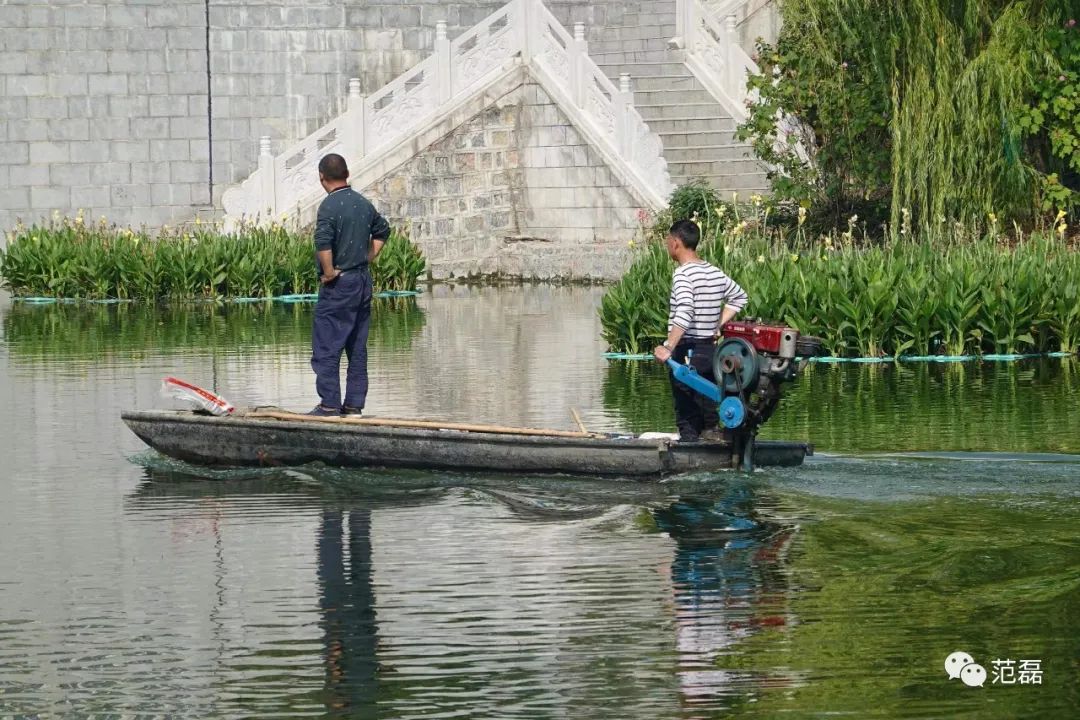 血泪换来的教训,买相机亏了怎么办