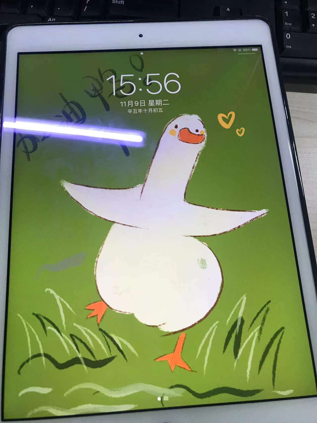 成人零基础自学画画,零基础自学画画入门教程步骤